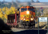 bnsf5443_south_at_nss_longs_peak.jpg