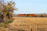 BNSF 8556 North At Longs Peak Siding, CO