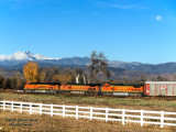 BNSF 8236 North At Highland, CO