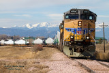 UP 6004 East Near Milliken, CO.jpg