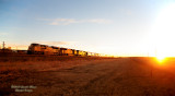 UP 8740 West At Cheyenne, WY