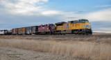 UP 8795 East Near Kimball, NE.jpg