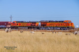 BNSF 3980 South At SSS Longs Peak, CO