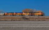 BNSF 6187 East Near Tampa, CO 2.jpg