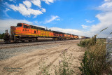BNSF 4361 North At NSS Longs Peak, CO