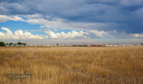 QALTPTL6-Longmont Switch Meet At Longs Peak, CO.jpg