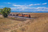BNSF 9212 East At Tonville, CO.jpg