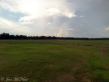 Taylorsville Sod Farm; Bartow Co., GA