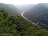 New River Gorge; Fayette Co., WV