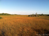 Everglades National Park