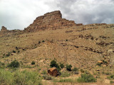 Wild Horse Canyon: Mesa Co., CO