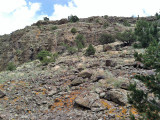 Elephant Rocks area: Saguache Co., CO