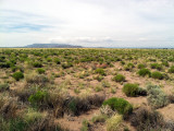 Alamosa NWR view: Alamosa Co., CO