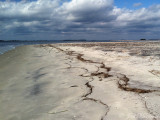 St. Catherines Island, GA