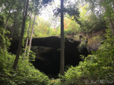 Longest natural bridge east of the Rockies; Natural Bridge Park, Winston Co., AL