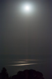 Moonlight 