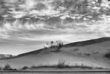 Bruneau Dunes State Park - Study 1
