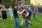 Return of Bearded Vulture Schils