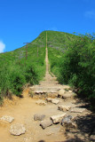 Koko Head Trail