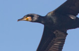 ED9F6572.jpg