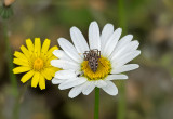 _4270047.jpg