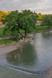 _5140059.jpg