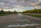 _5140064.jpg