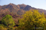 Les monts Aravelli vus du temple jan de Ranakpur, Rajasthan_IMGP6725.JPG