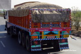 Sur la route entre Pushkar et Jaipur, Rajasthan_IMGP7165.JPG