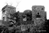 Parc national de Ranthambore, Rajasthan_IMGP7881.JPG