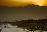 Kashmir-6316-3.jpg