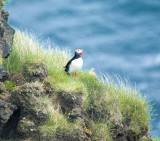 Iceland-0571-Edit.jpg