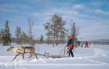 Lapland-0106.jpg