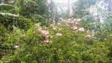 20151101_113412.jpg