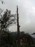 DSCN9289.JPG