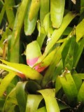 DSCN9291.JPG
