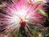 DSCN9322.JPG