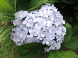 DSCN9325.JPG