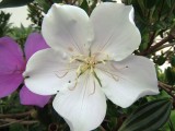 DSCN9326.JPG
