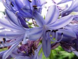 DSCN9349.JPG