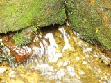 DSCN9367.JPG