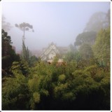 IMG-20160208-WA0000.jpg