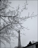 ltape parisienne
