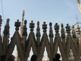 IMG_3073.JPG