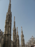 IMG_3079.JPG