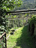 IMG_3314.JPG