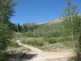 IMG_3416.JPG