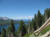 FLL from Angora Ridge