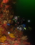 Bruce in Browning Passage