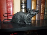 Rickey rat in library pic 3.JPG